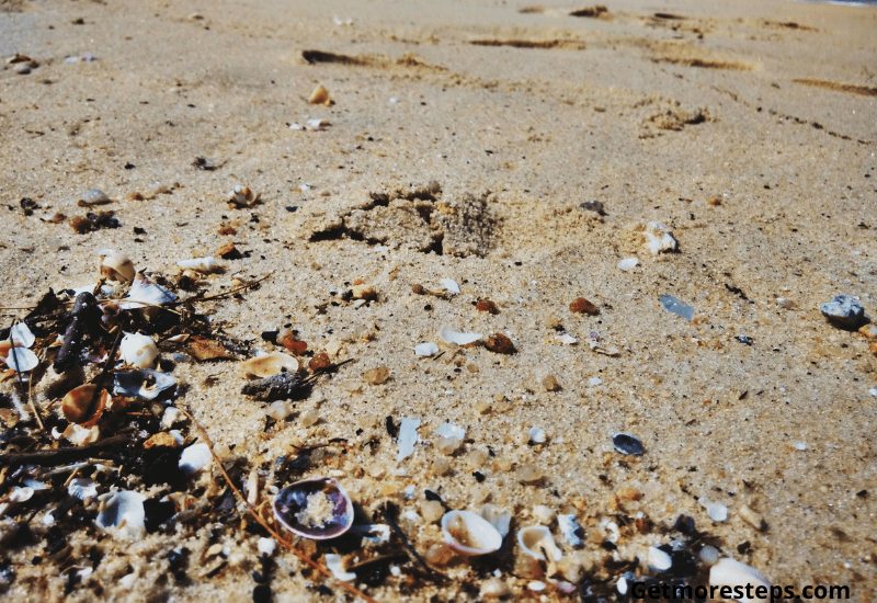 Walking on debris on the beach