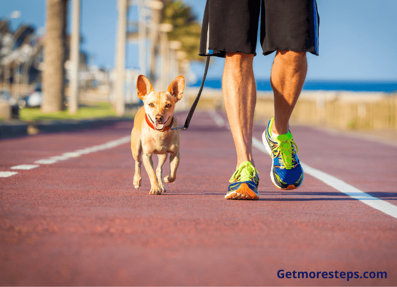 Walk your dog to get more steps